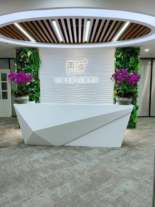 科技咨詢企業(yè)的服務(wù)領(lǐng)域探討 從傳統(tǒng)咨詢到數(shù)智化升級(jí)